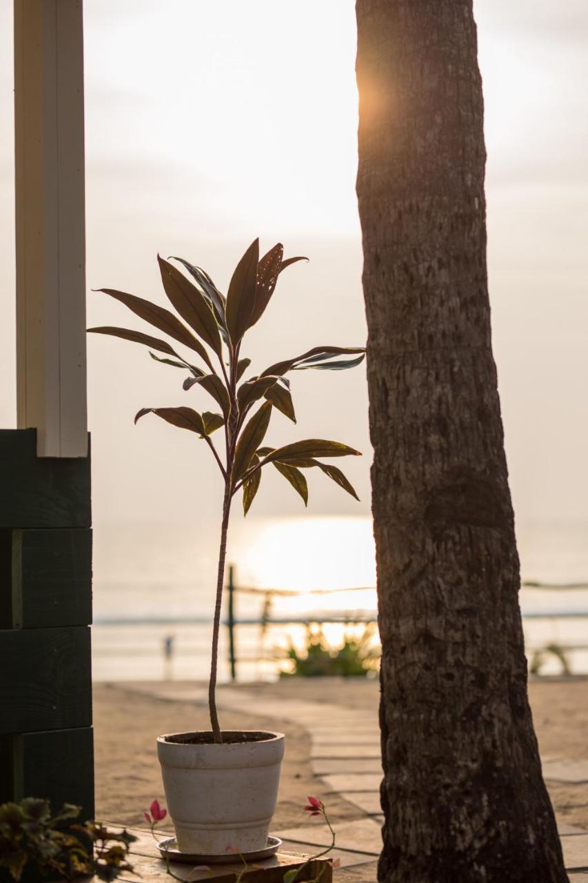 Nest Cottages Canacona Exterior foto